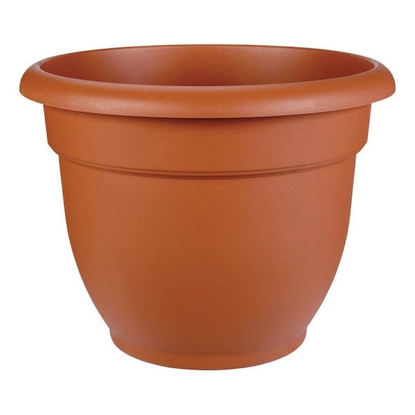 Bloem Bloem Ariana 10.25 in. H X 13 in. W Resin Traditional Planter Terracotta 20-56112 - main